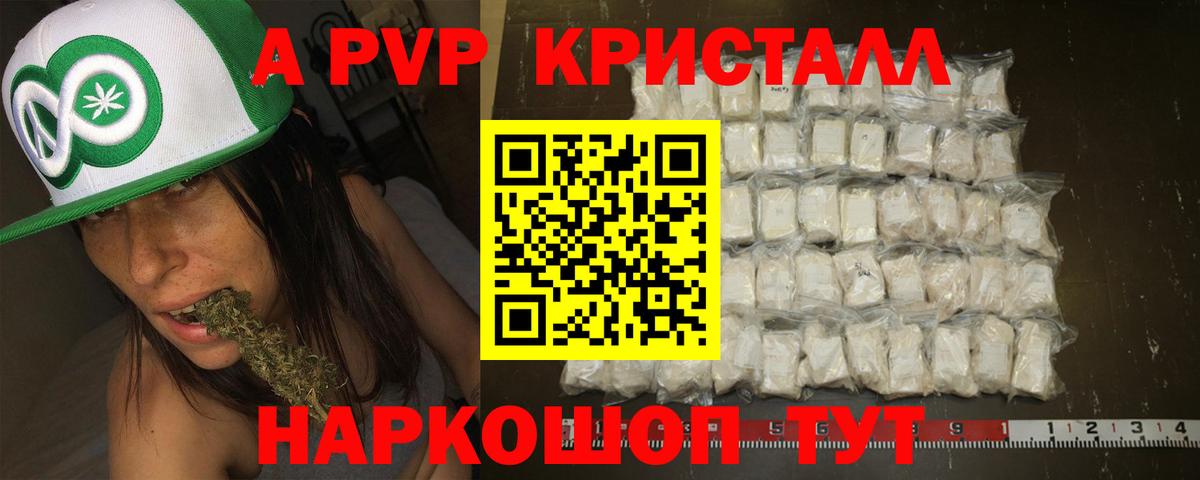 Альфа ПВП Надым